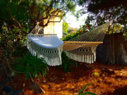 Tilba Accommodation relaxing